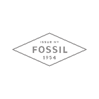 fossil hoogeveen fossil hardenberg wolters juweliers coevorden emmen