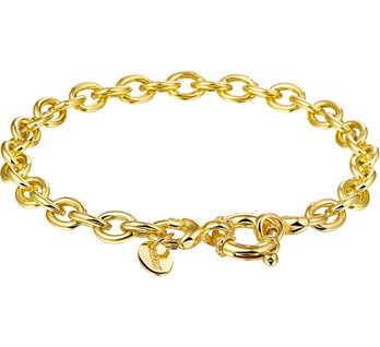 Wolters juweliers | Gouden armband anker 6,0 zilgold zilverkern