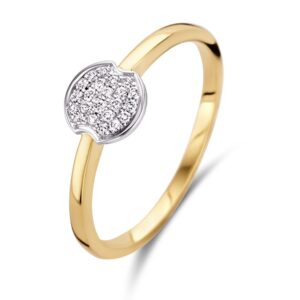 Ring bicolor briljant 0.09 crt.