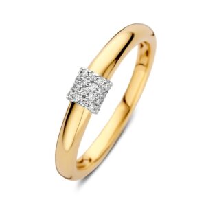 Ring bicolor briljant 0.10 crt.