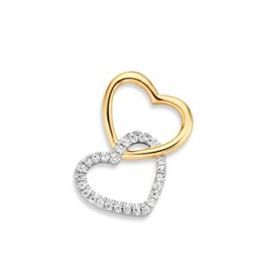 Hanger bicolor zirkonia HH425868